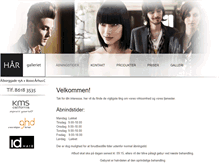 Tablet Screenshot of haar-galleriet.com